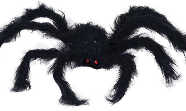 Araña negra