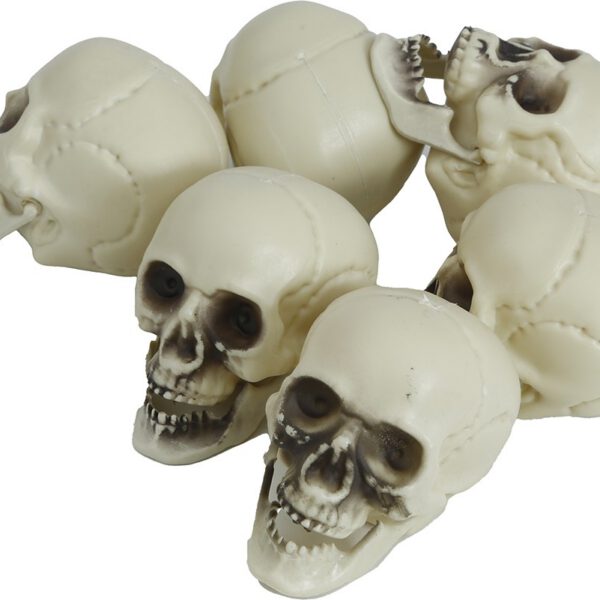 Bolsa 6 calaveras