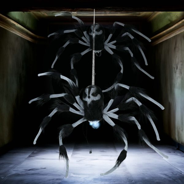 Araña grande