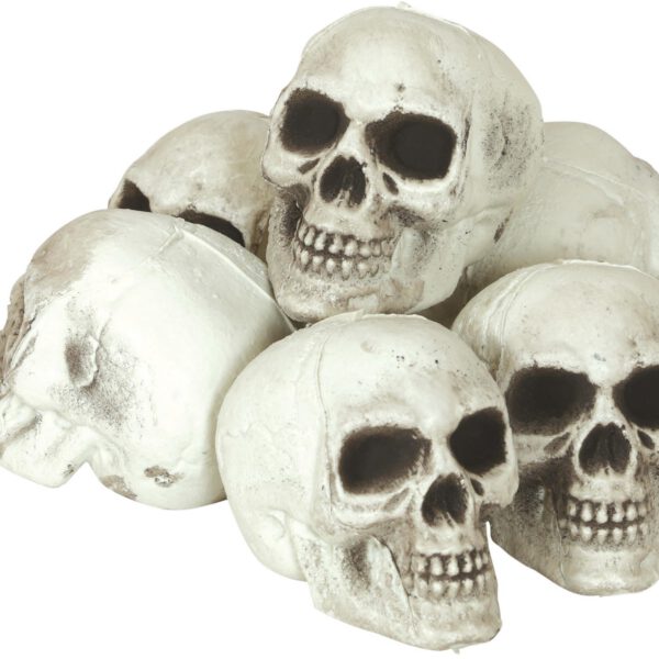 Pack 6 calaveras