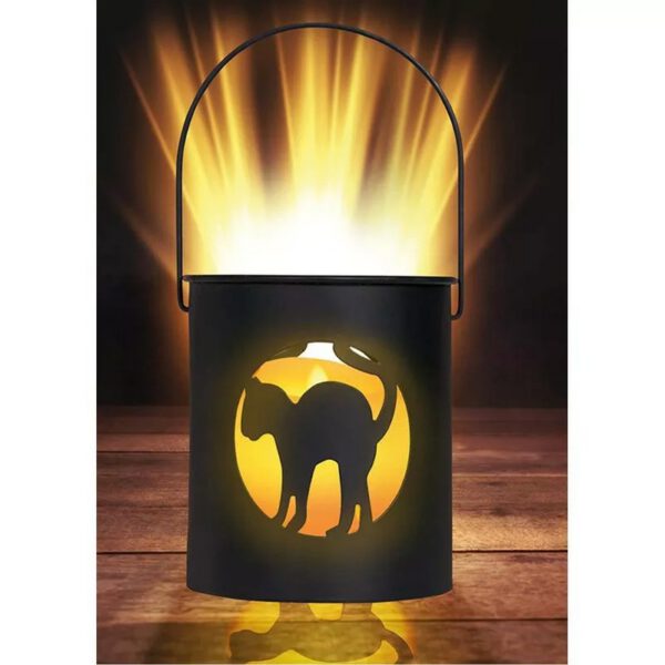 Farol led con gato