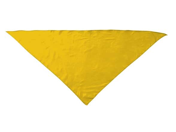 Pañuelo de Fiesta de colores
