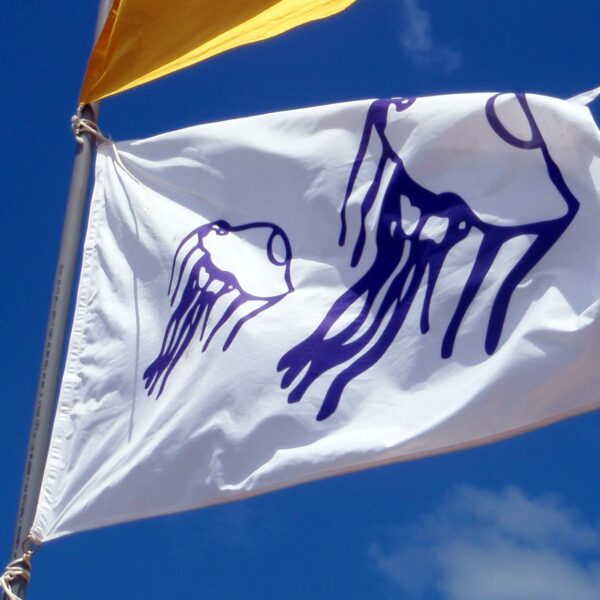 Bandera Medusas