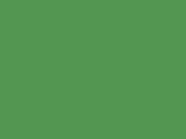 Bandera Verde