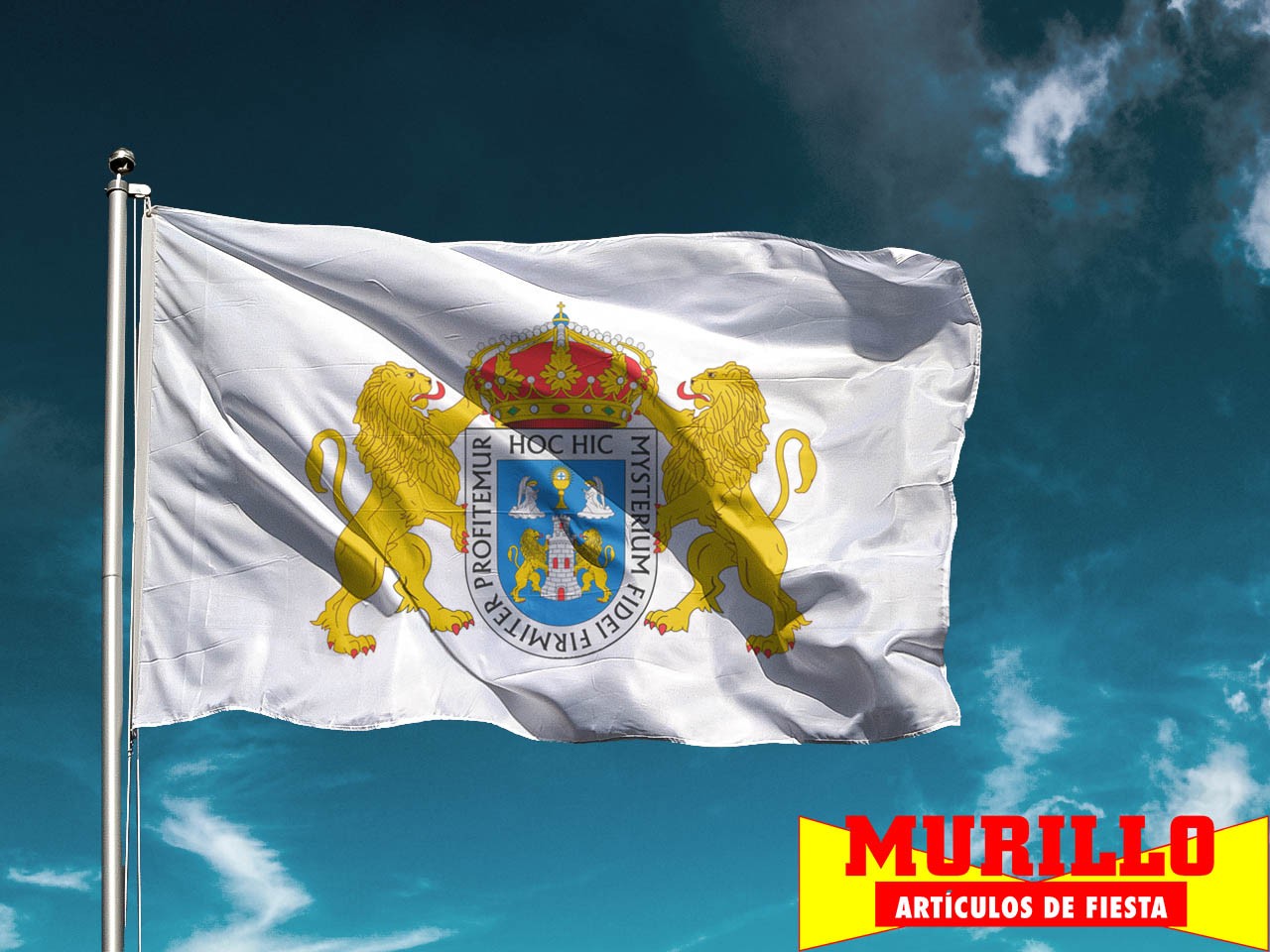 Bandera de Lugo Capital