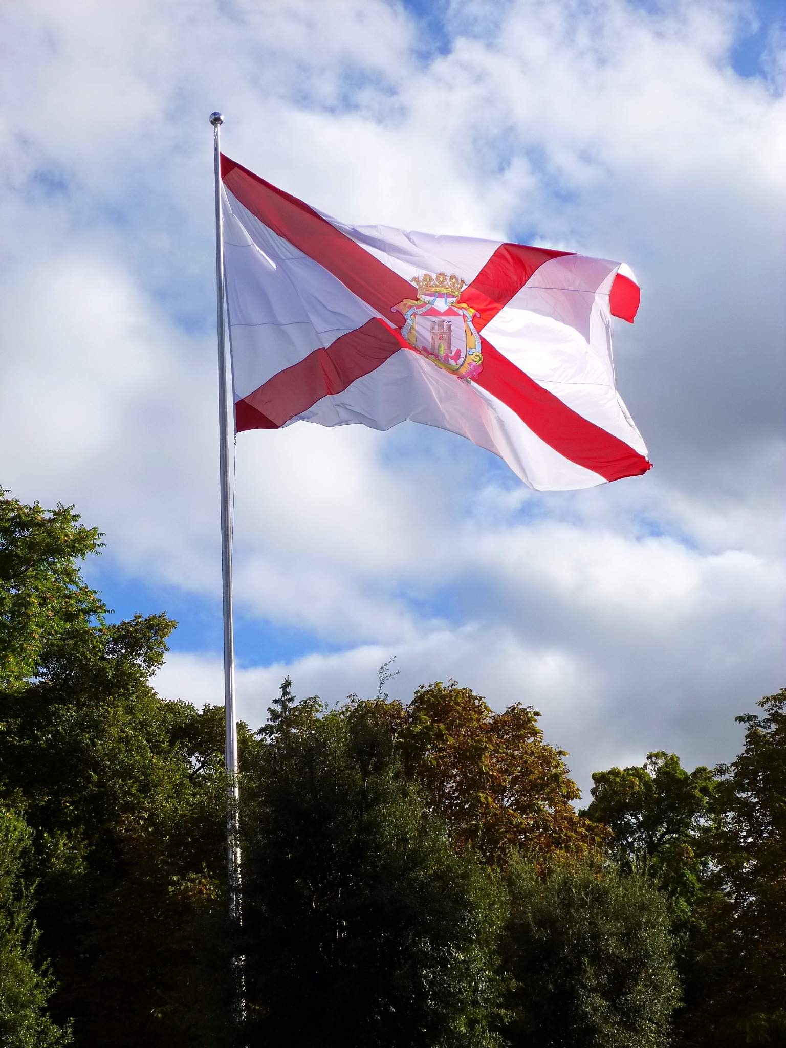 Bandera de Vitoria Ciudad
