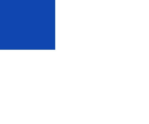 Bandera de San Sebastián Ciudad
