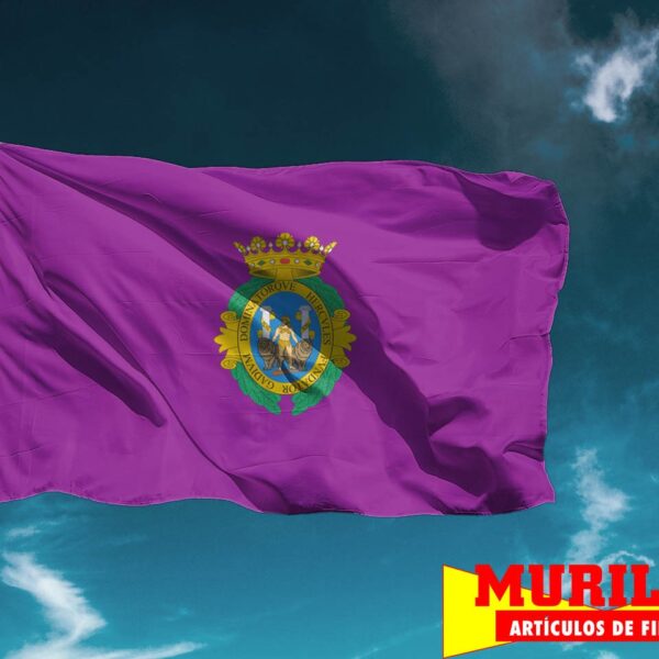 Bandera de Cádiz Ciudad