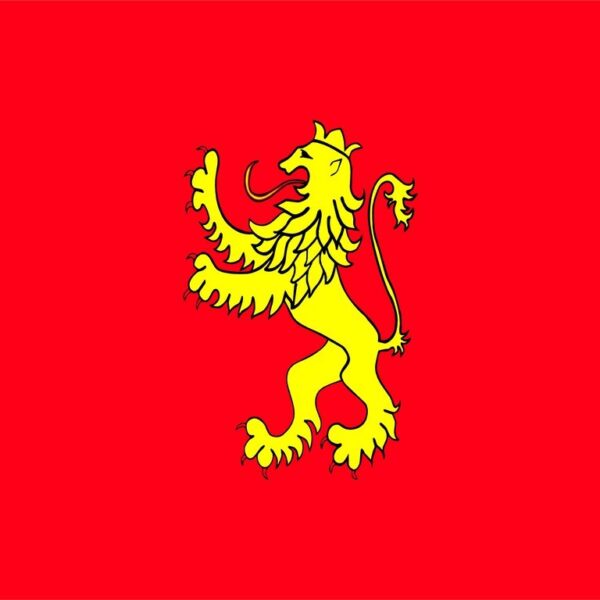 Bandera de Zaragoza ciudad