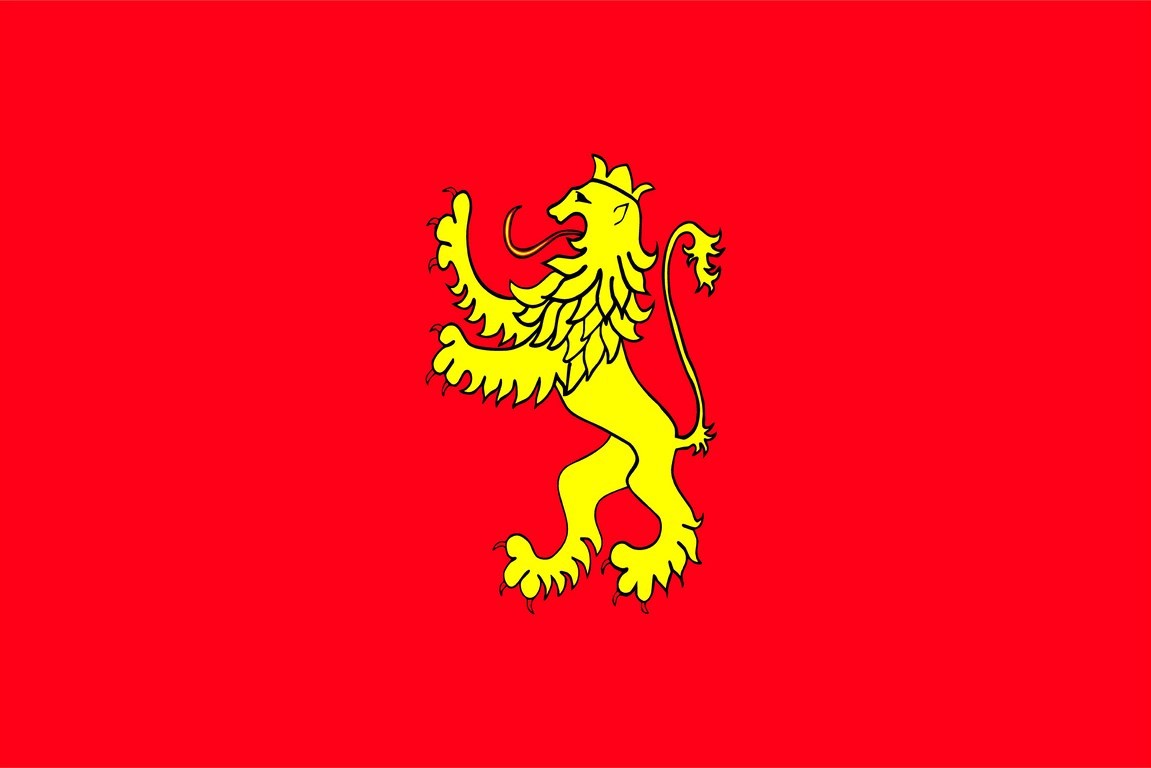 Bandera de Zaragoza ciudad