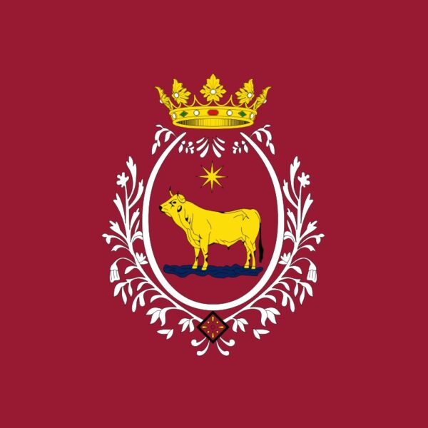 Bandera de Teruel Ciudad