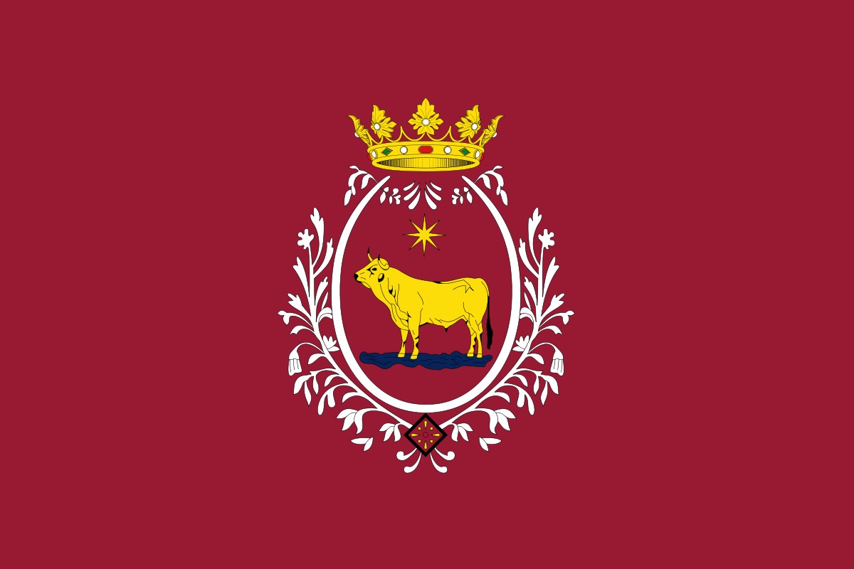 Bandera de Teruel Ciudad
