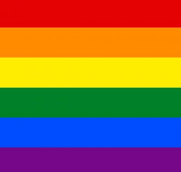 Bandera Orgullo Económica