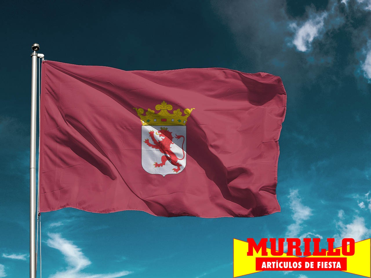 Bandera de León ciudad