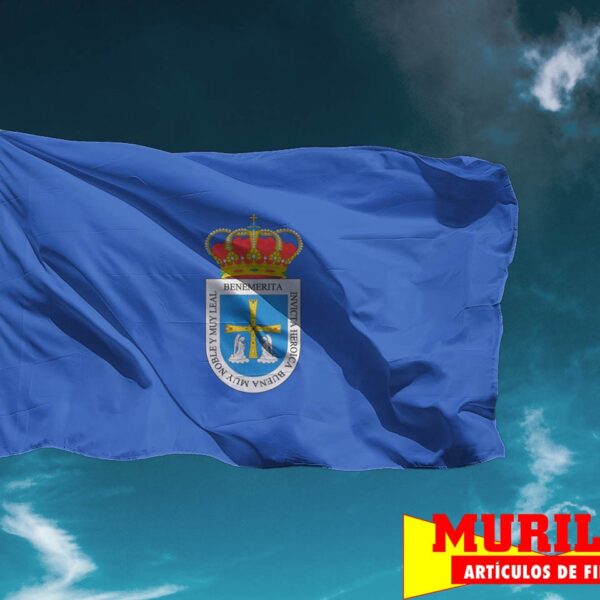 Bandera de Oviedo Ciudad