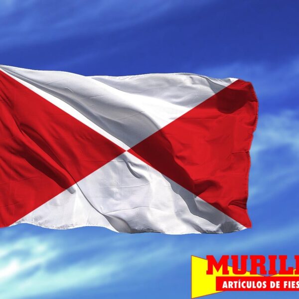 Bandera de Camarena