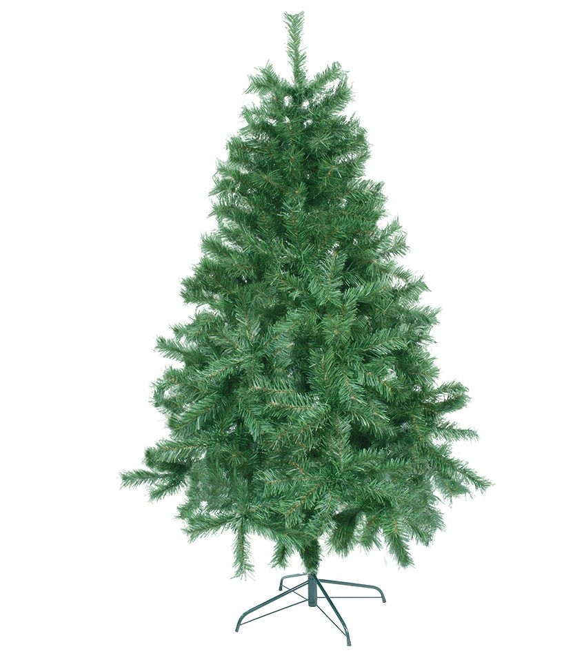Arbol Andino