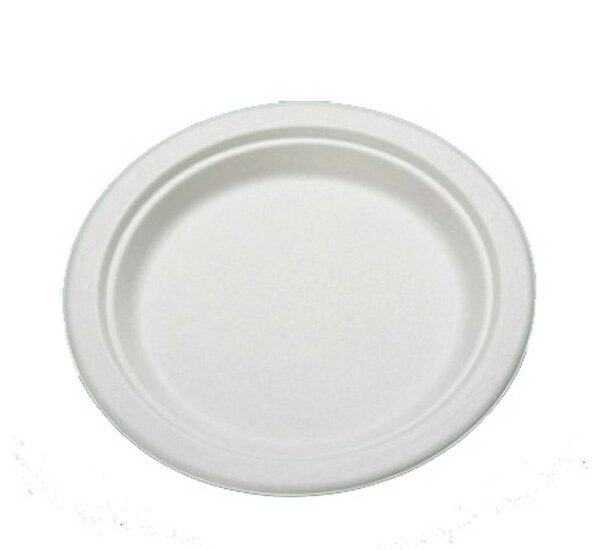 Plato de caña de azúcar 22 cm