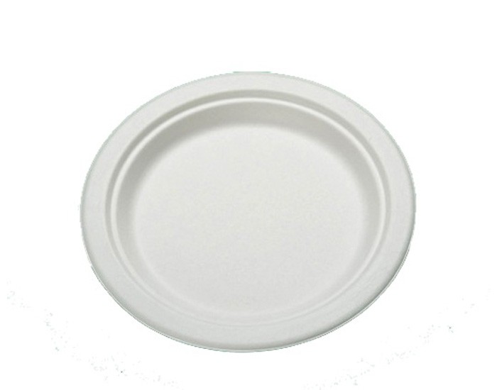 Plato de caña de azúcar 22 cm