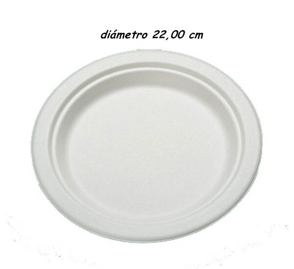 Plato de caña de azúcar 22 cm