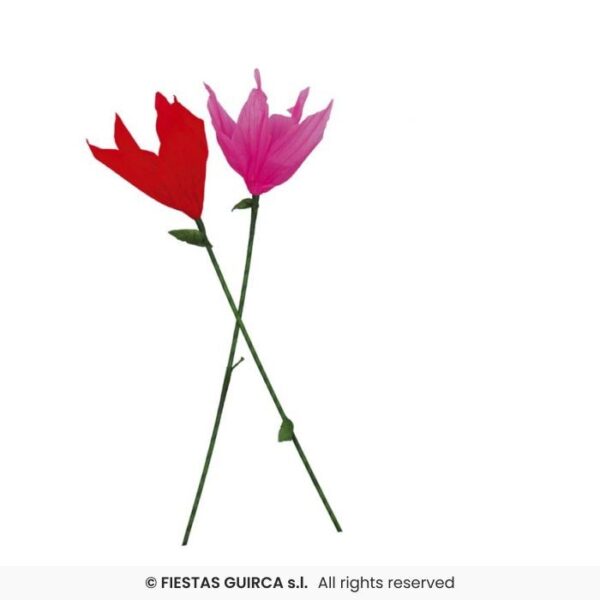 Tulipán de Baile
