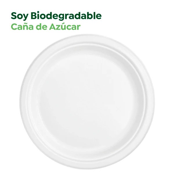 Plato llano 22 cm caña de azúcar