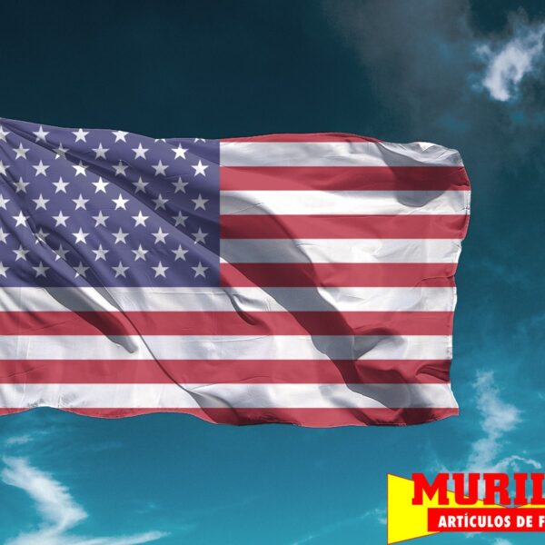 Bandera Estados Unidos de América