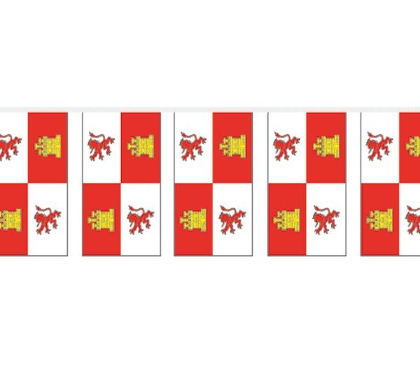 Bolsa Bandera Papel Castilla León